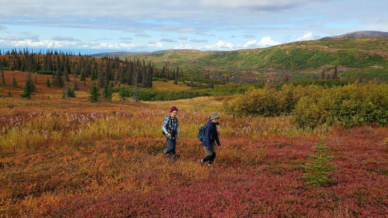 Caribou Lodge Alaska Талкитна Экстерьер фото