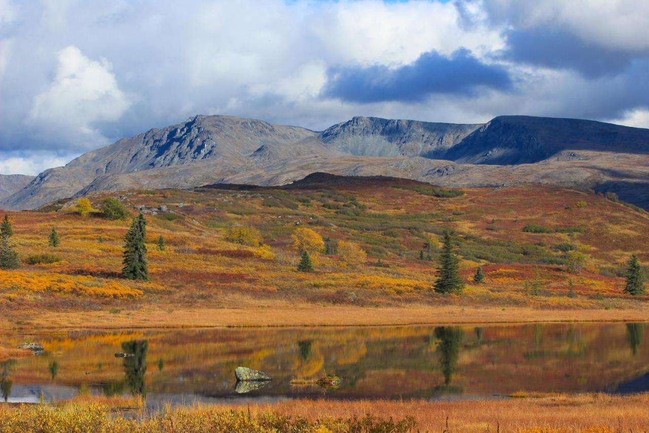 Caribou Lodge Alaska Талкитна Экстерьер фото