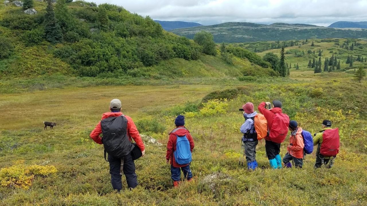 Caribou Lodge Alaska Талкитна Экстерьер фото