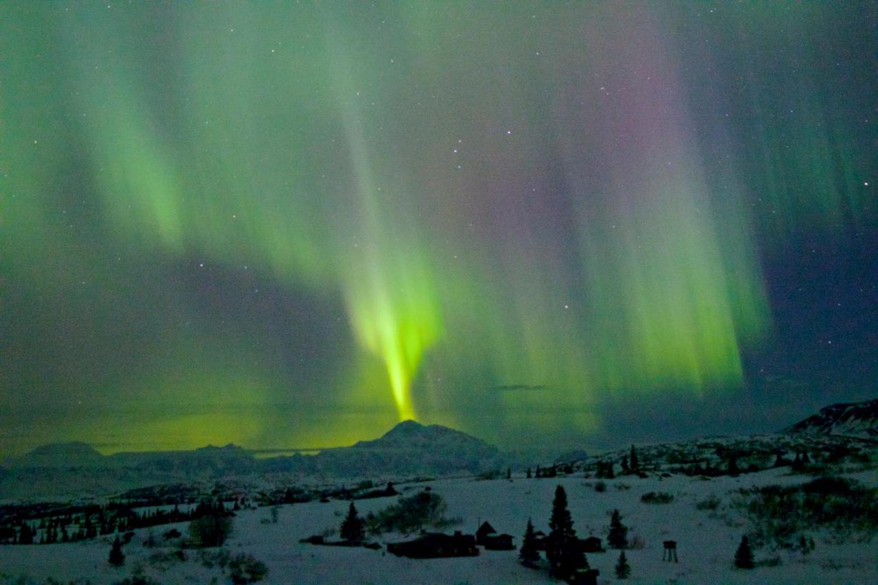 Caribou Lodge Alaska Талкитна Экстерьер фото