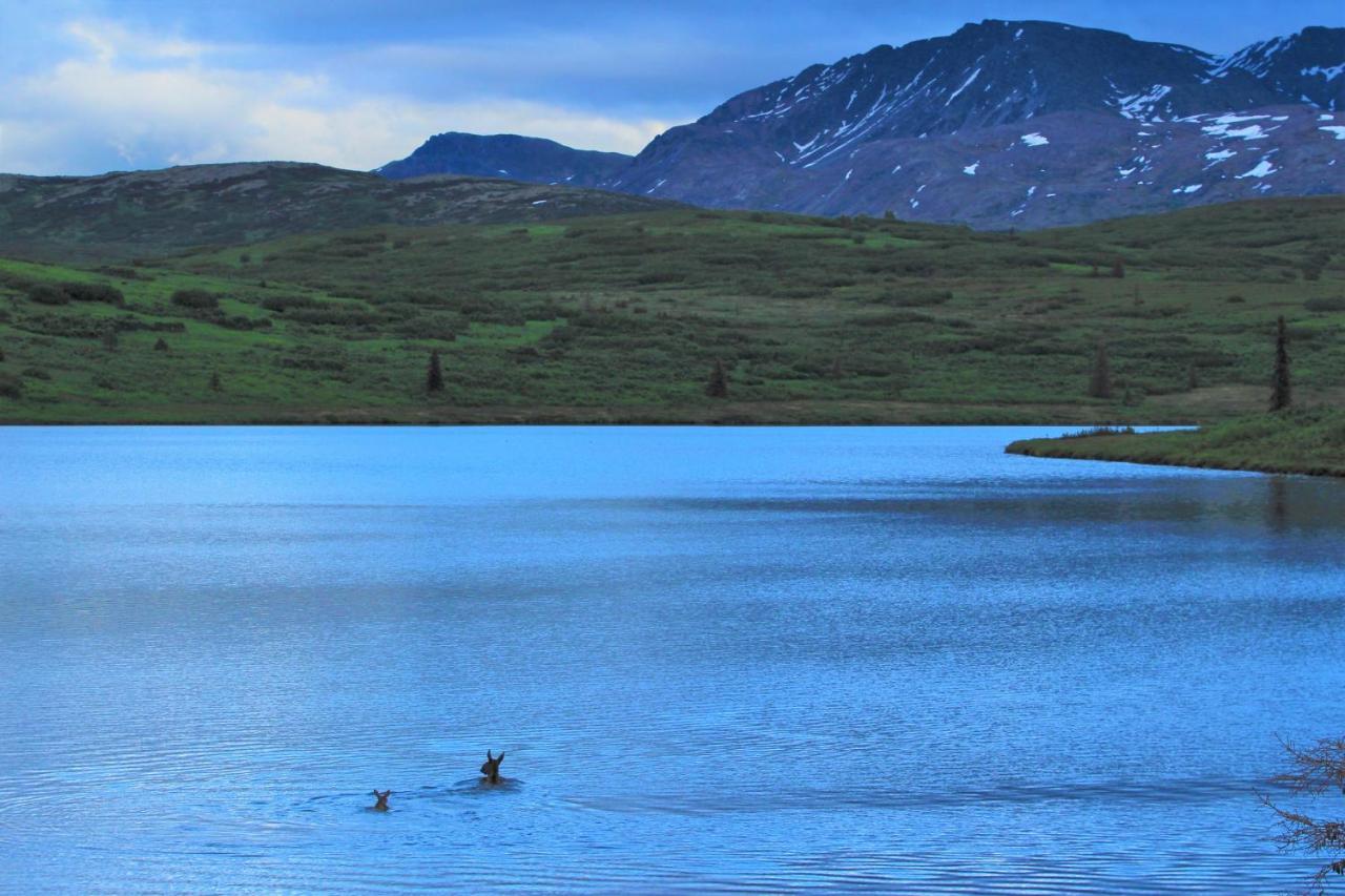 Caribou Lodge Alaska Талкитна Экстерьер фото